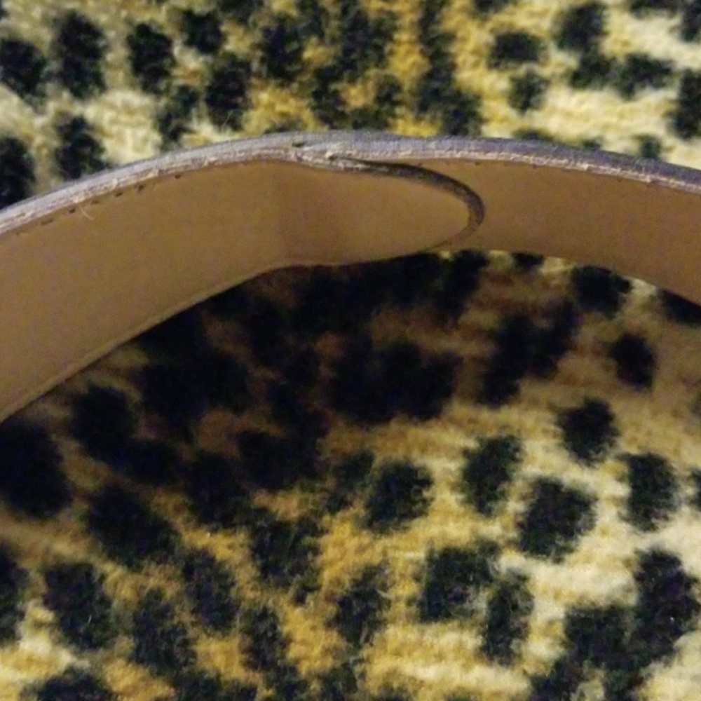 Belt - Picture 2 of 4